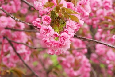 宁波镇海区线下个人借款平台一站式服务，轻松解决资金难题