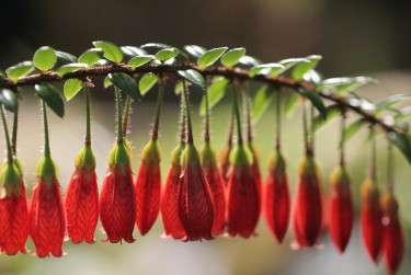 宁波镇海区零用贷短借：轻松解决临时资金需求