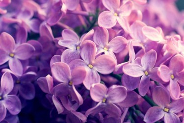 宁波镇海区企业急用钱贷款攻略：快速融资解燃眉之急